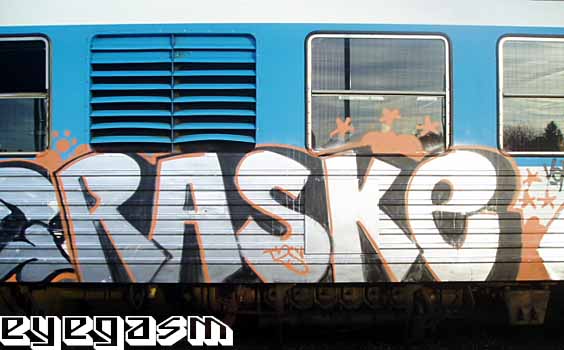 raske01.jpg