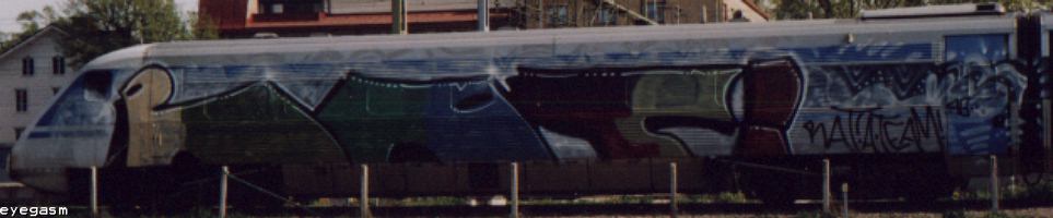 rat01.jpg