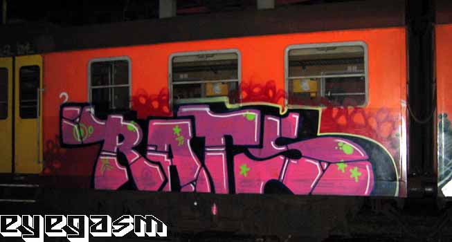 rats01.jpg