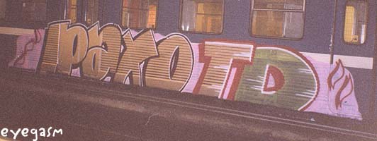 raxo-td01.jpg