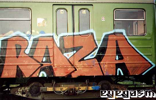 raza01.jpg