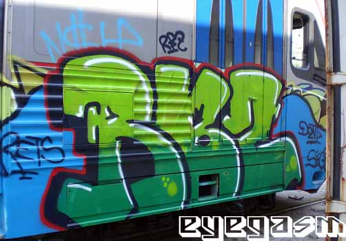 rbz01.jpg