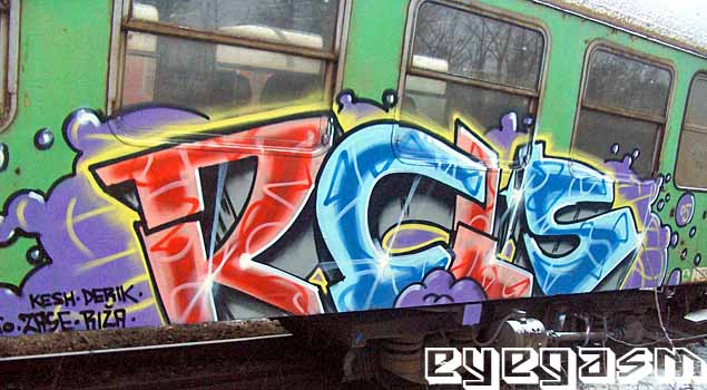 rcls01.jpg