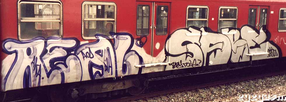 real-sabe01.jpg