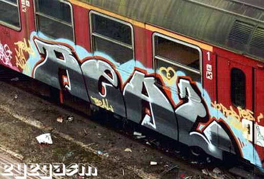 real04.jpg