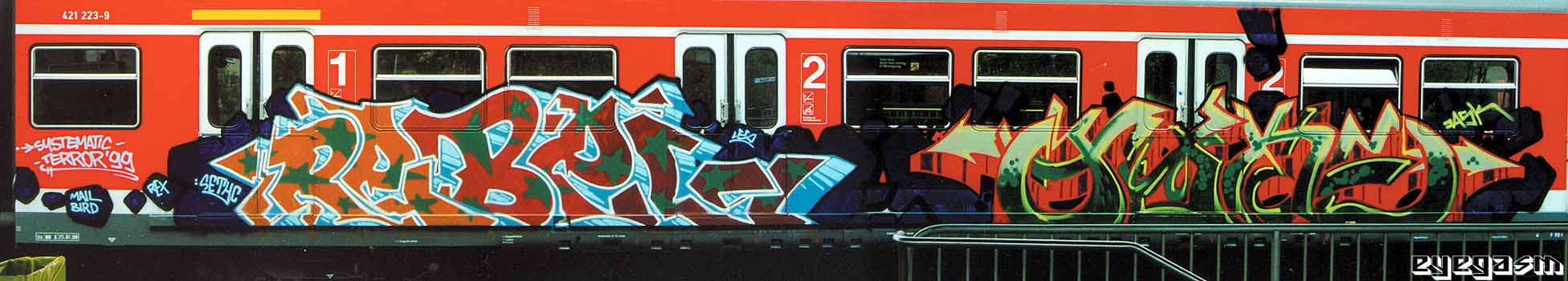 rebel-tyke01.jpg