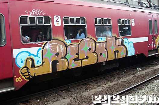 rebok03.jpg