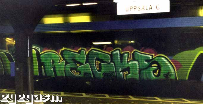 recks01.jpg
