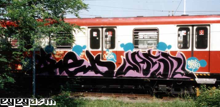 red-jasn01.jpg