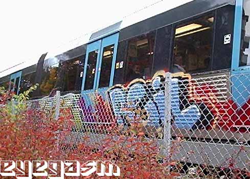 reil04.jpg