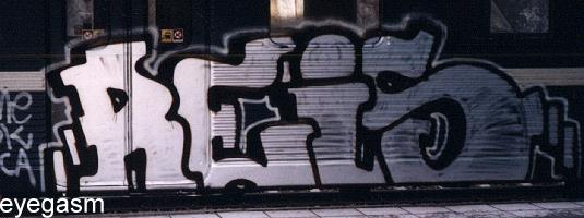 reis01.jpg