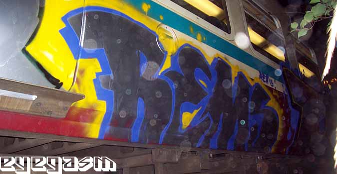 rems01.jpg