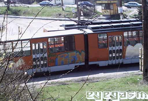rfx01.jpg