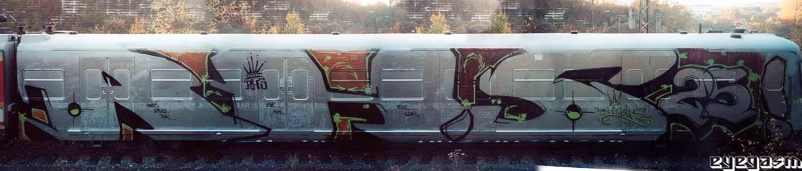 rhs25-wc01.jpg