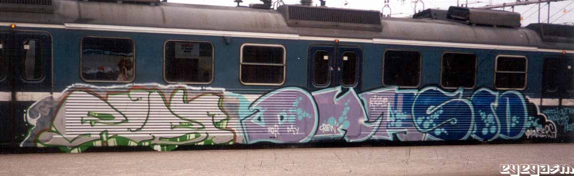 ribe-pkasso01.jpg