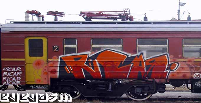 ricar02.jpg