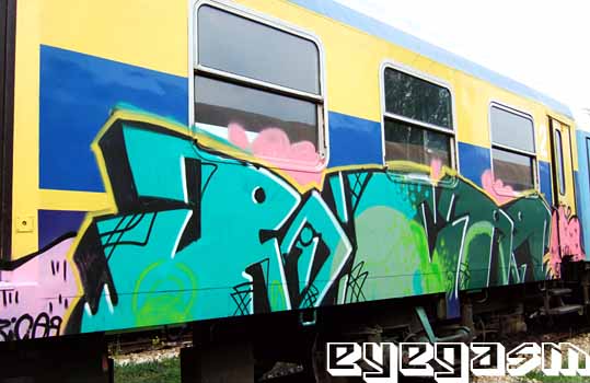 ricar06.jpg