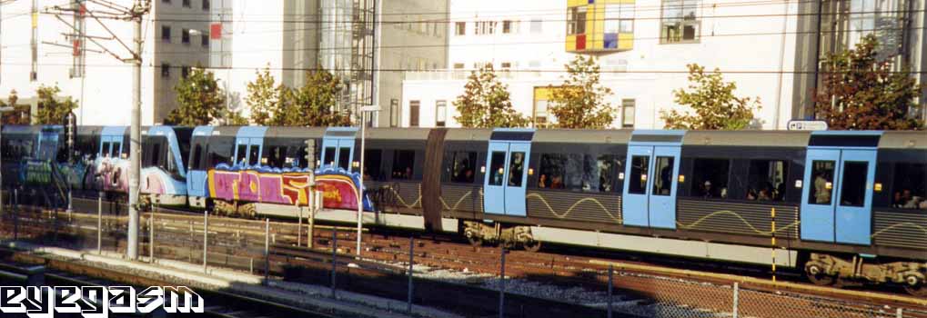 rich-fols02.jpg