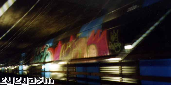 rich-lipa01.jpg