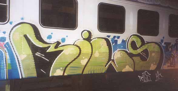 rils01.jpg
