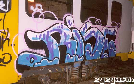 rise01.jpg