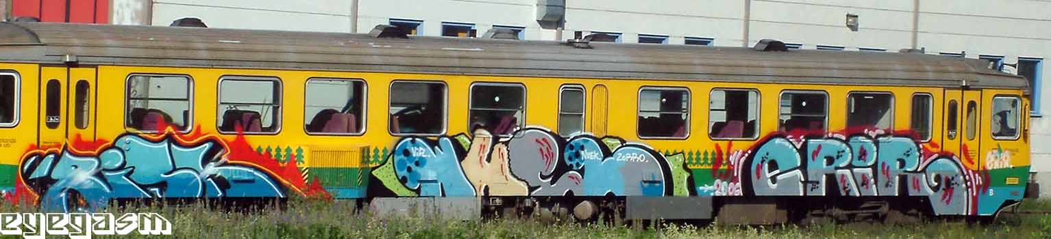 risk-whel-erir01.jpg
