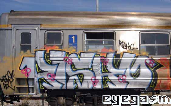 risko14.jpg