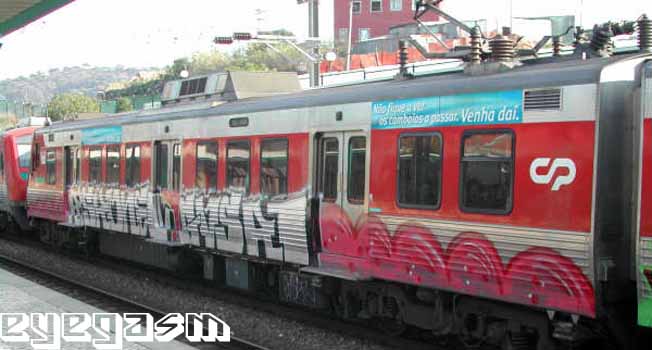 riskone-gvsr101.jpg