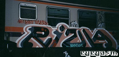 rizla15.jpg