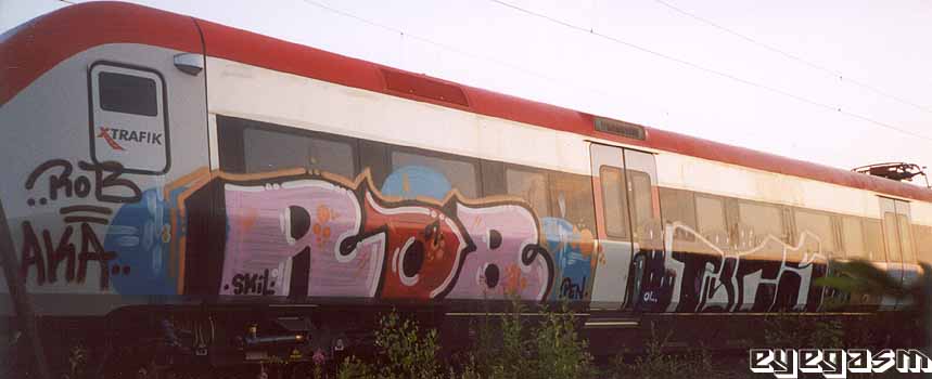 rob-pycs01.jpg