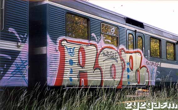 rob02.jpg