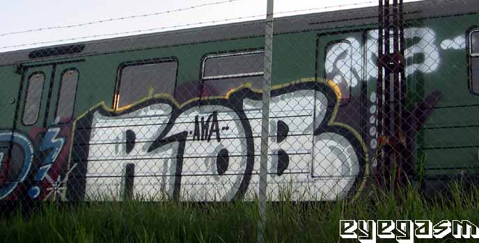 rob04.jpg