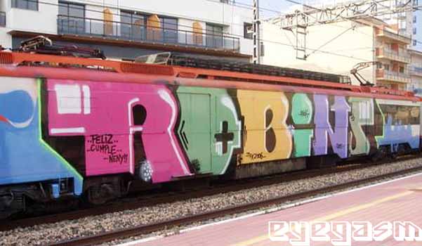 robins01.jpg