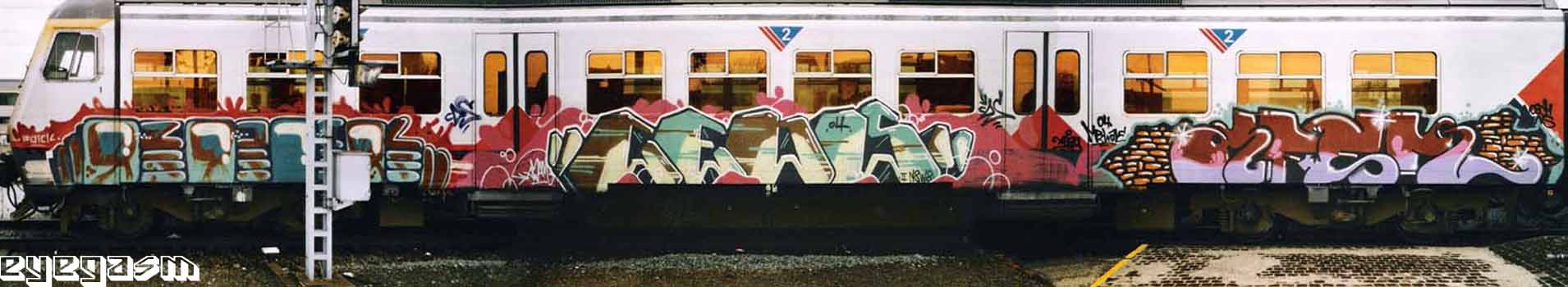 rock-ceds-afer01.jpg