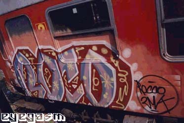 roco01.jpg