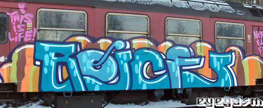 roice01.jpg