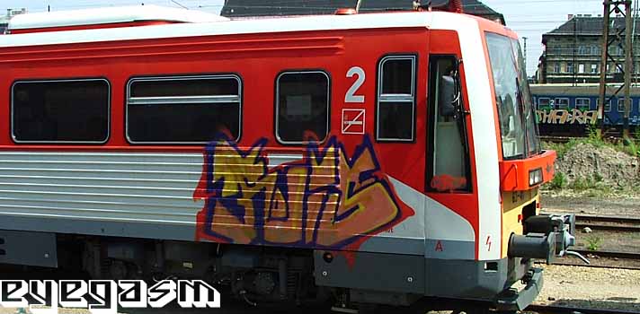 rois01.jpg