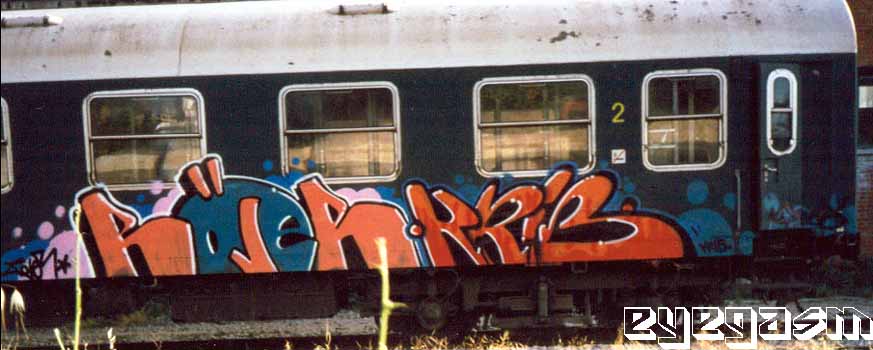 rojer-krib01.jpg