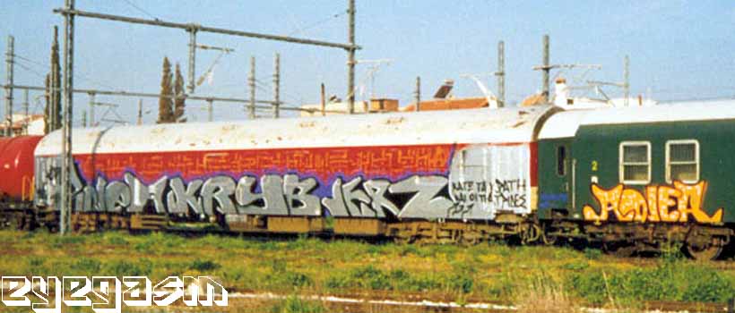 rojer-kryb-jerz-wc01.jpg