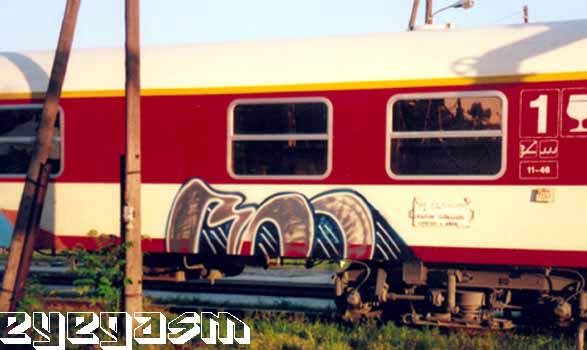 roo01.jpg
