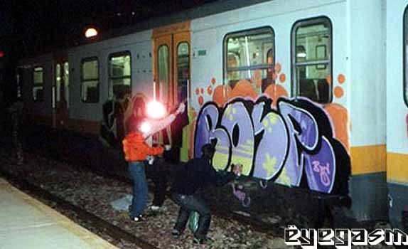 rose01.jpg