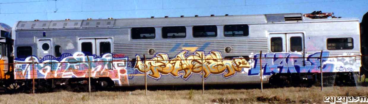 roske-sage-mare01.jpg