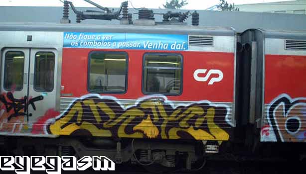rot001.jpg