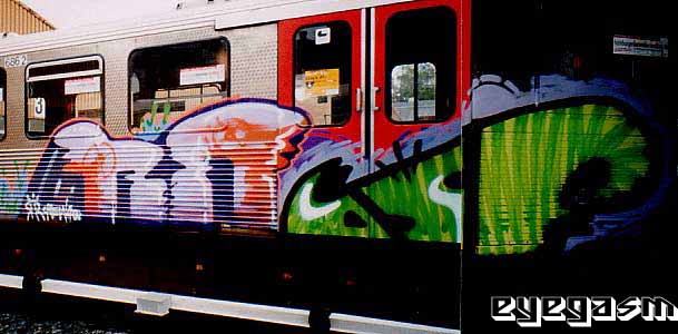 rr-dsf01.jpg