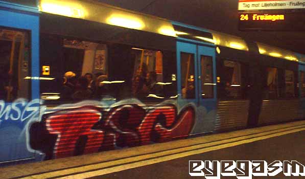 rsg01.jpg