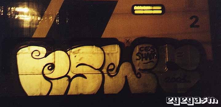 rswc01.jpg