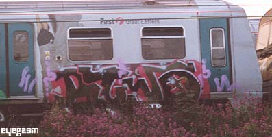 rtwo01.jpg