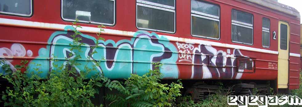 rut-rut01.jpg