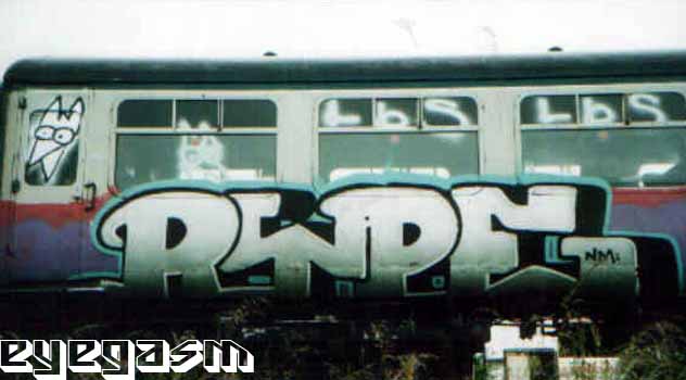 rype01.jpg