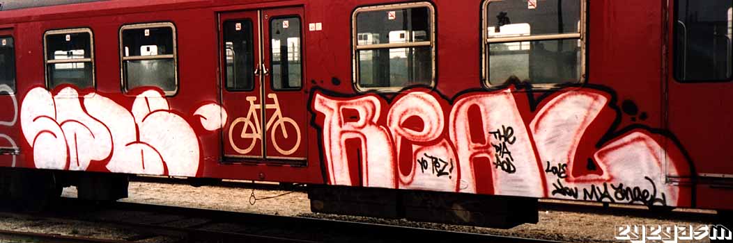 sabe-real01.jpg